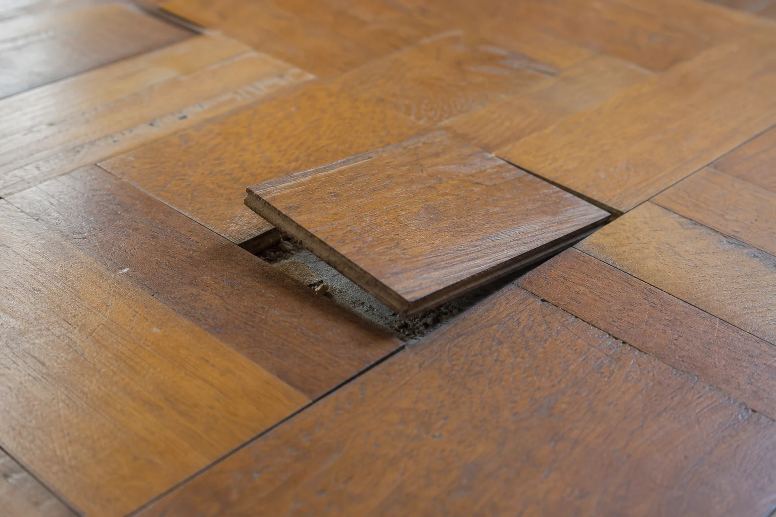 Taco de parquet ligeramente levantado junto a piezas firmes que requiere reparación antes de vitrificar
